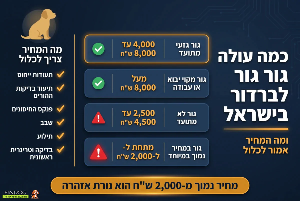כמה עולה גור לברדור רטריבר