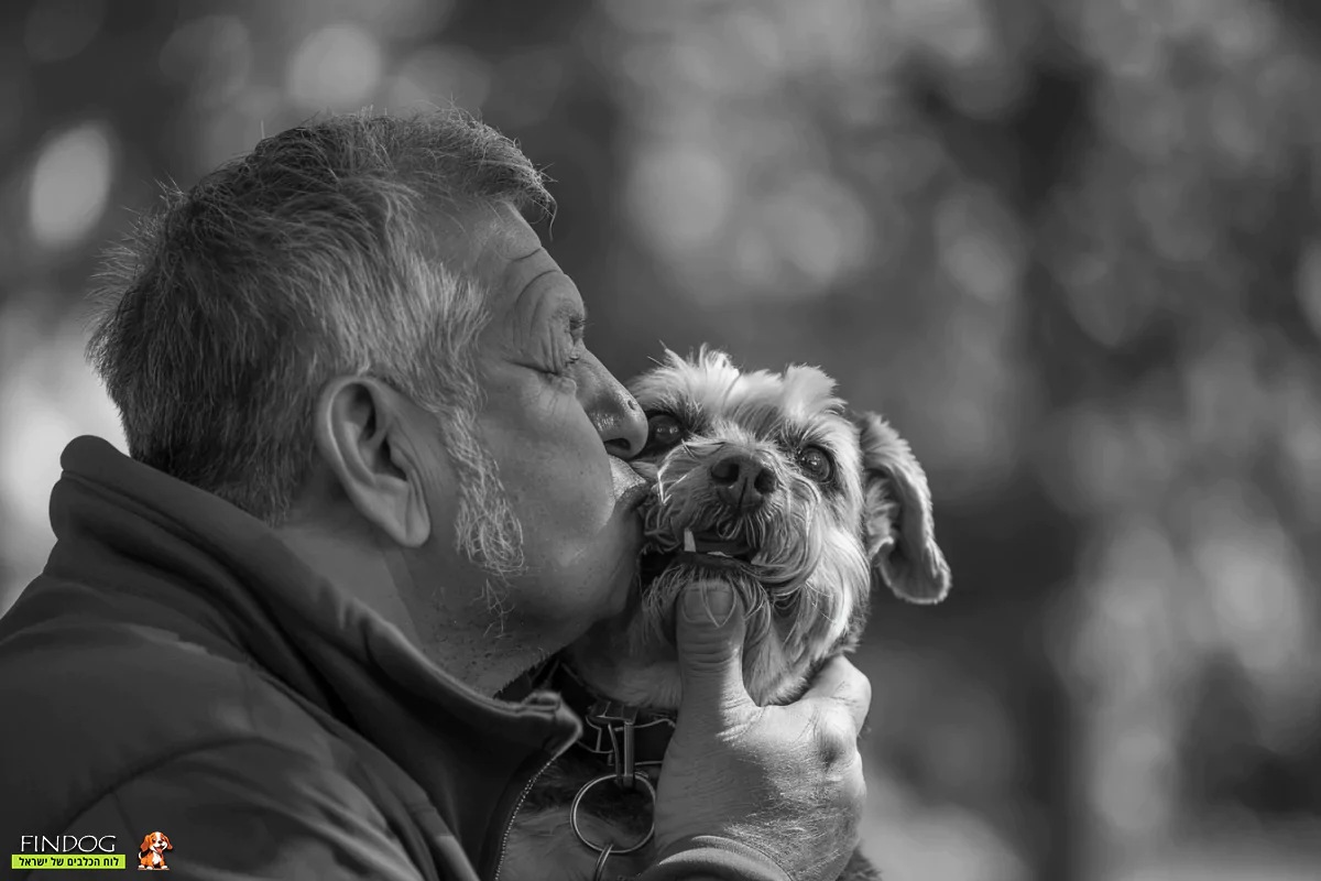 אדם מבוגר מנשק כלב בפה