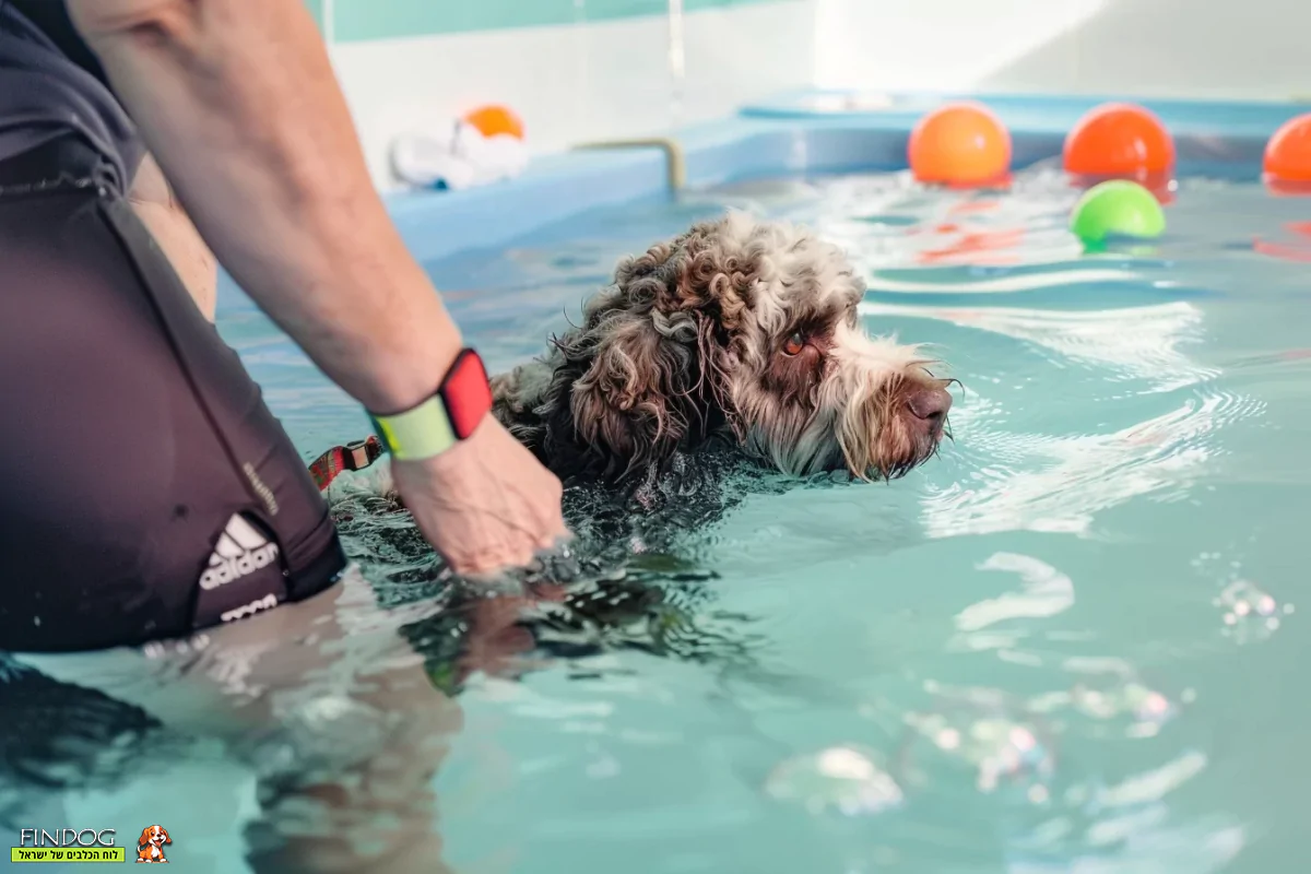 פיזיותרפיה לכלב במים