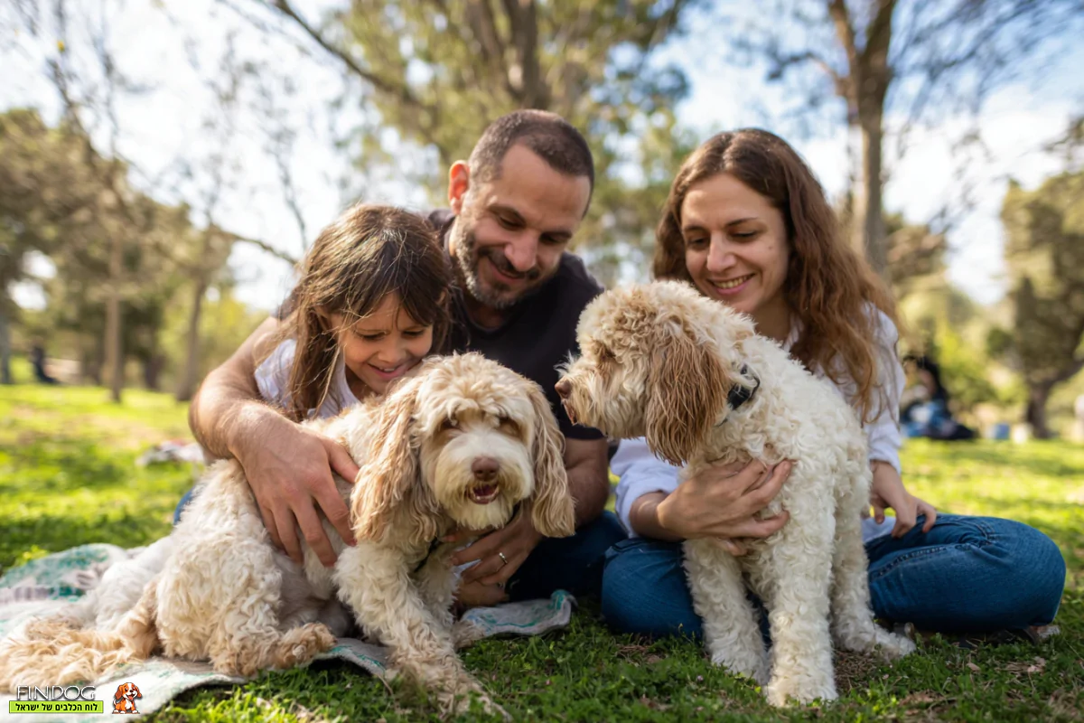 משפחה נהנית מיום שמש בפארק עם שני כלבים חמודים מגזעי קבפו וקוקפו משתוללים על הדשא
