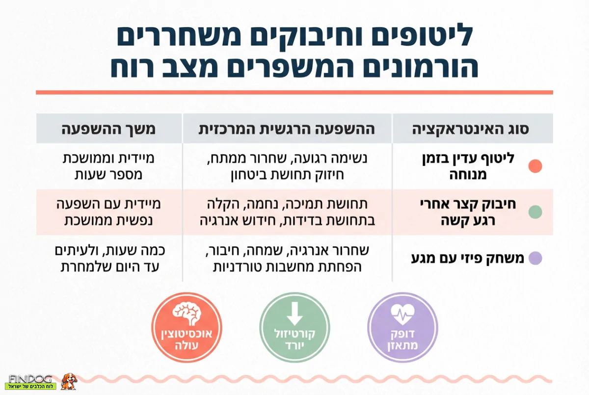 בדידות? גורי כלבים הם התשובה שחיפשתם