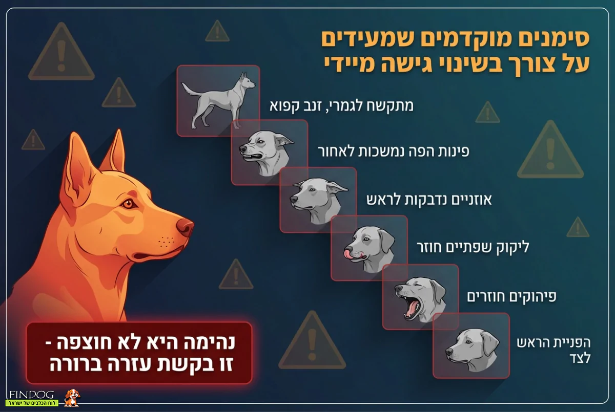 כלב תוקפני - שגיאות נפוצות ואיך למנוע אותן