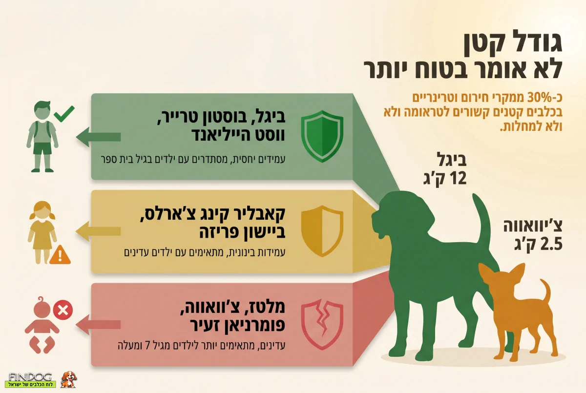 גודל קטן לא אומר בטוח יותר