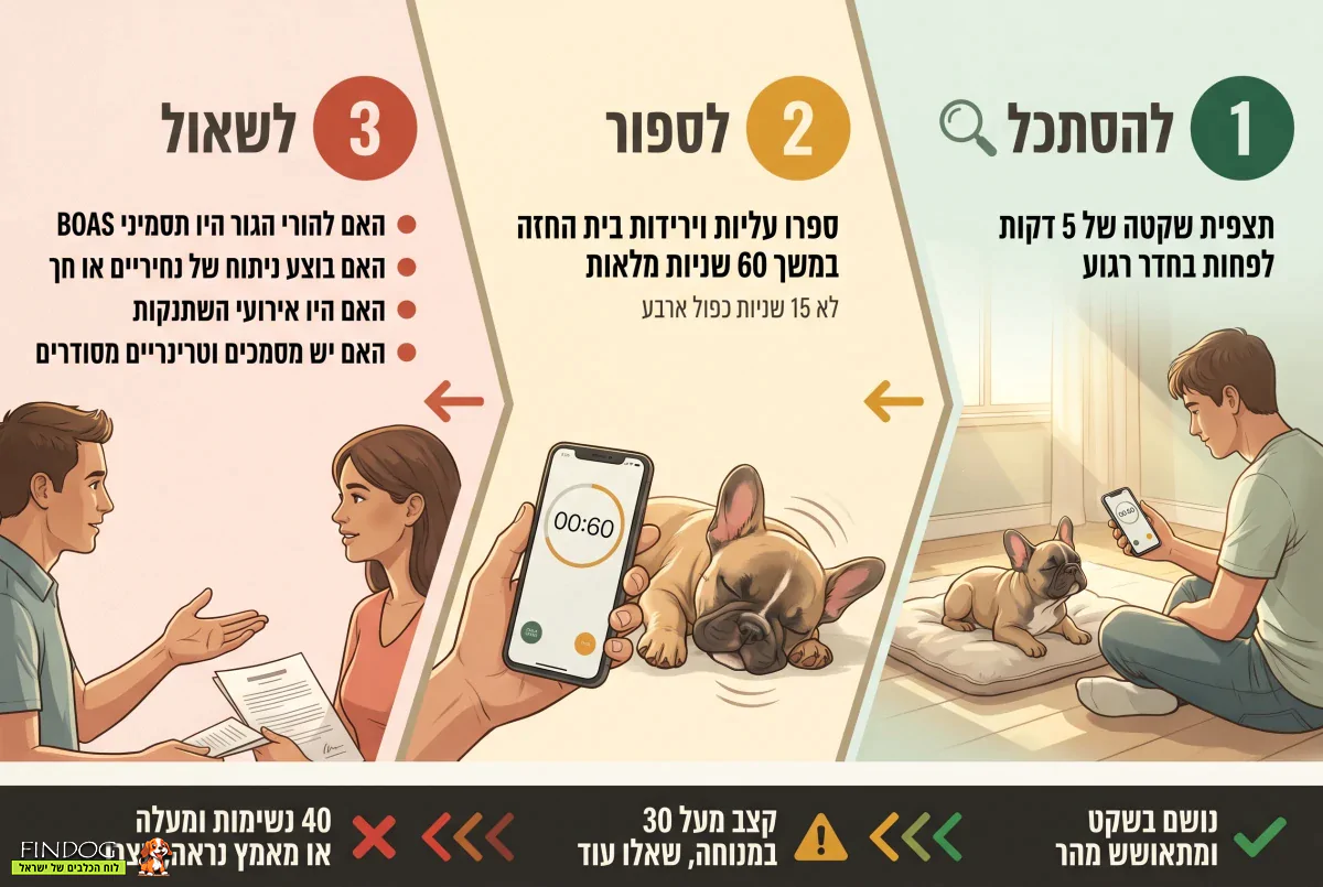 איך לבדוק נשימה של גור בולדוג צרפתי