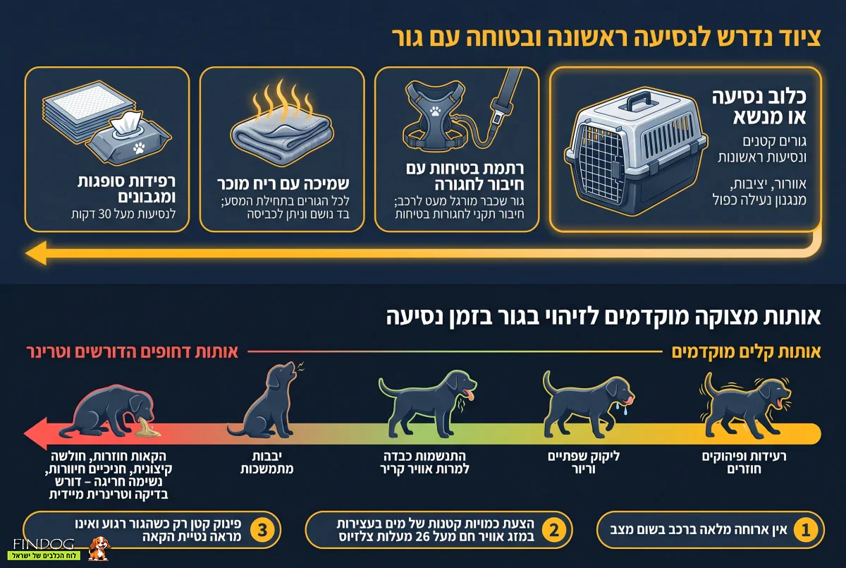ציוד נדרש לנסיעה ראשונה ובטוחה עם גור