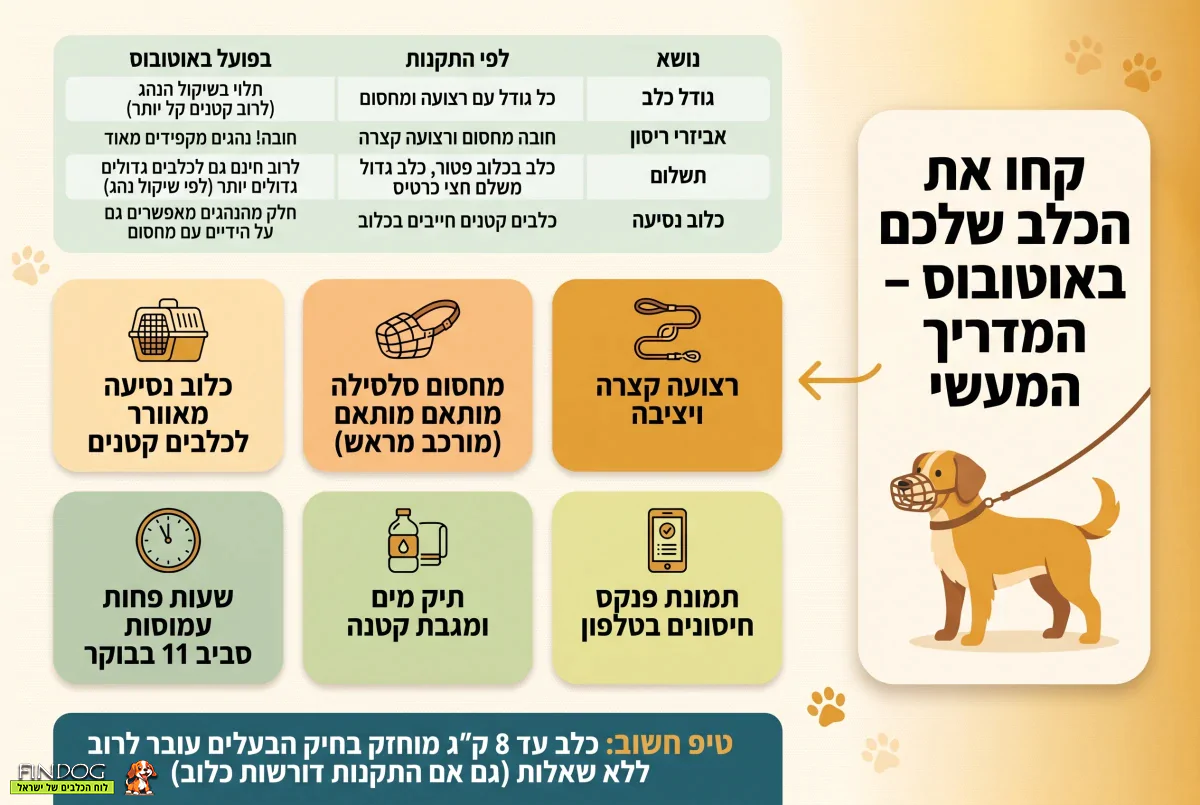 קחו את הכלב שלכם באוטובוס - המדריך המעשי