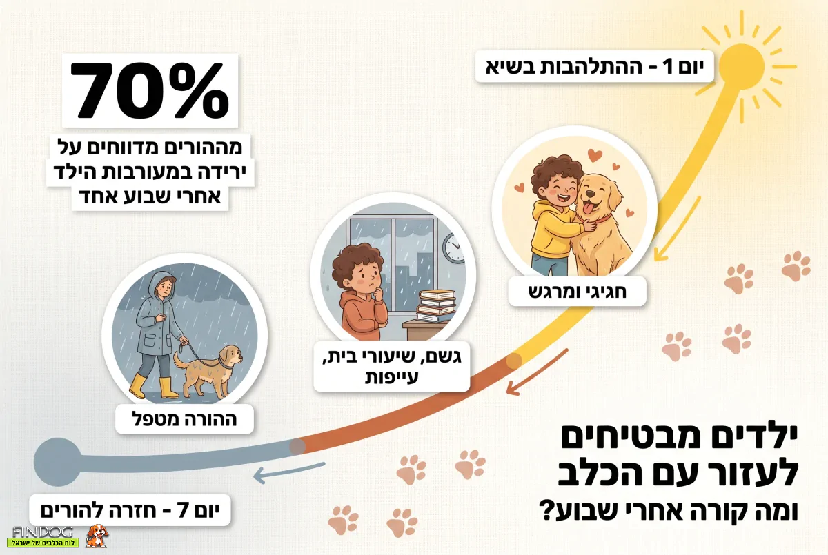 ילדים מבטיחים לעזור עם הכלב - מה קורה ארי שבוע