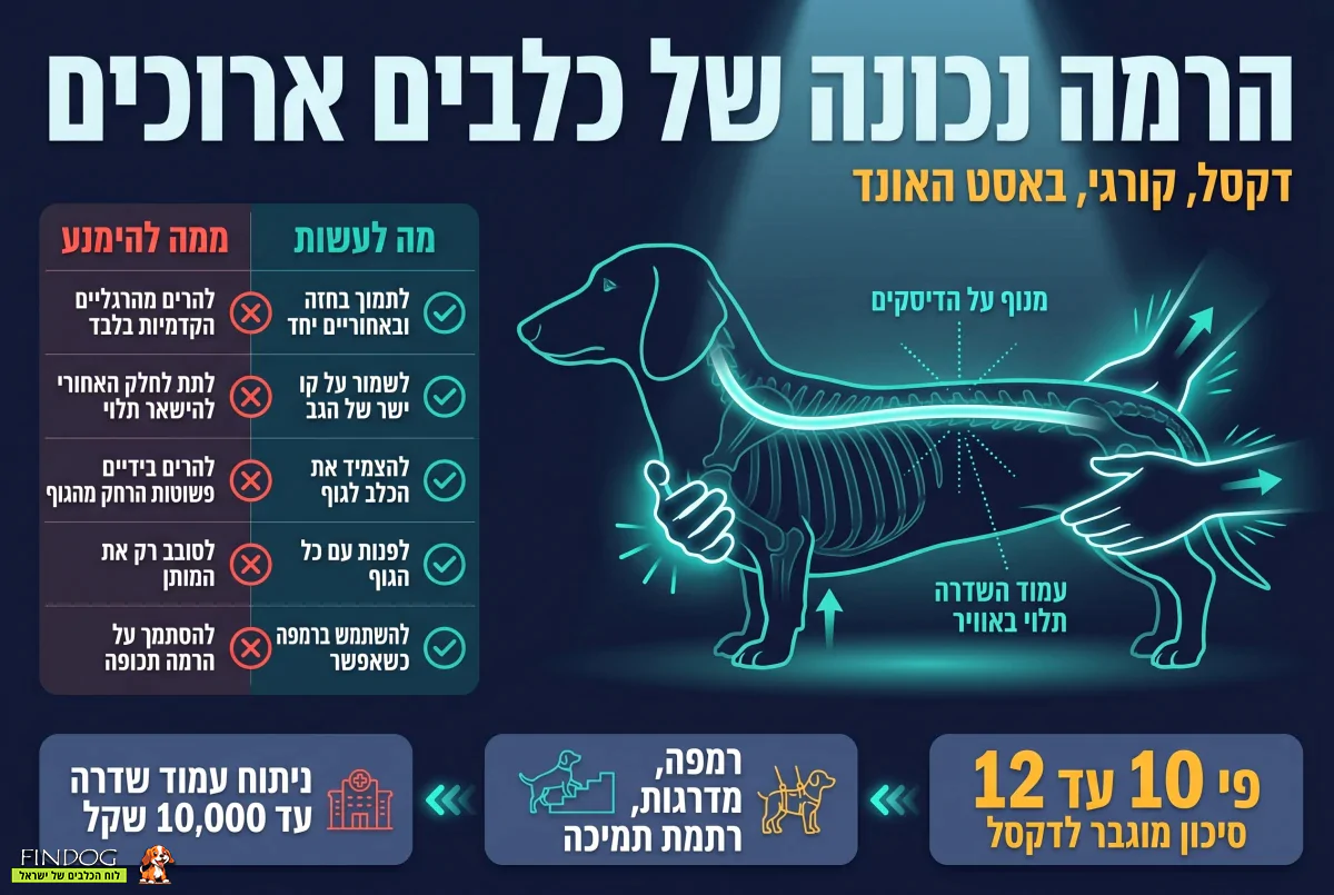 הרמה נכונה של כתבים מאורכים