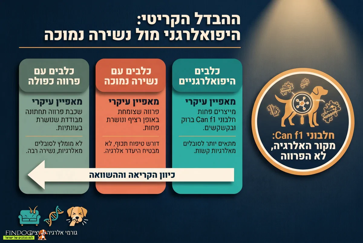 לפני שקונים כלב שלא משיר - קראו את זה