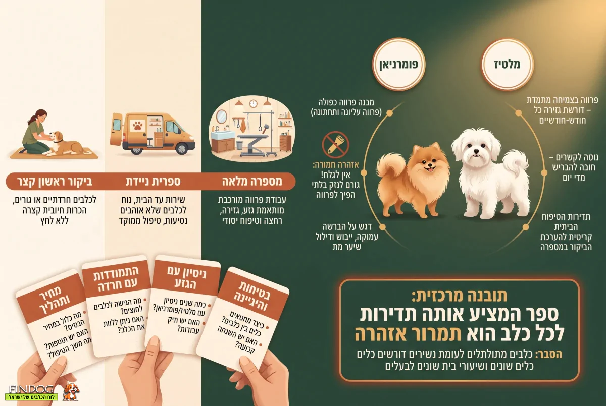 תספורת לכלבים