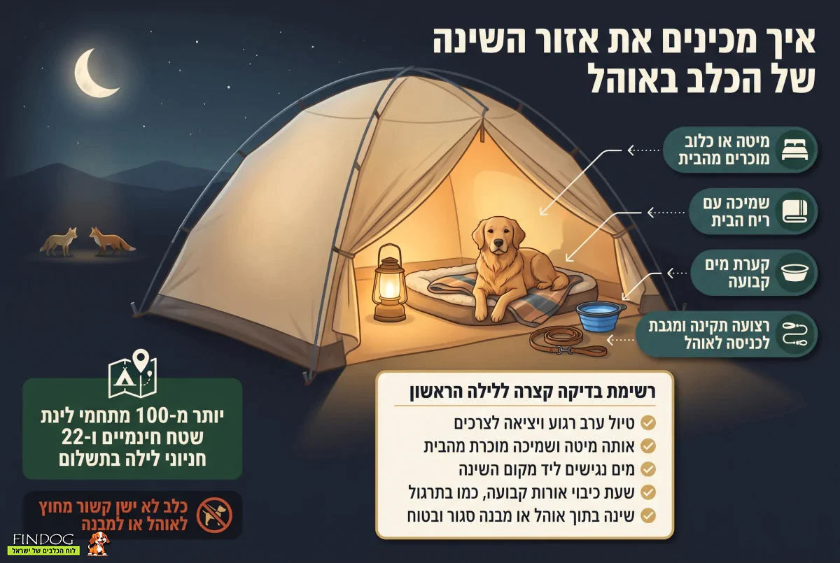 איך מכינים את אזור השינה של הכלב באוהל