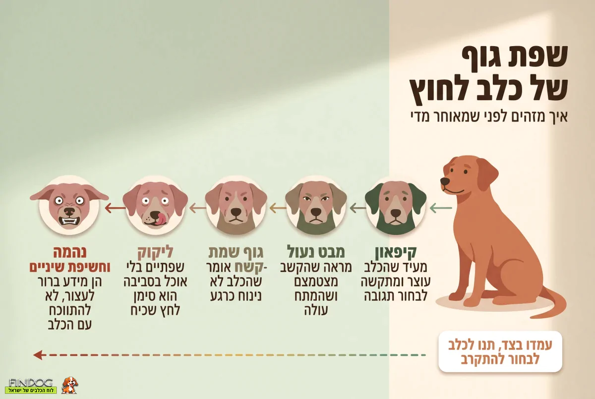 שפת הגוף של כלב לחוץ