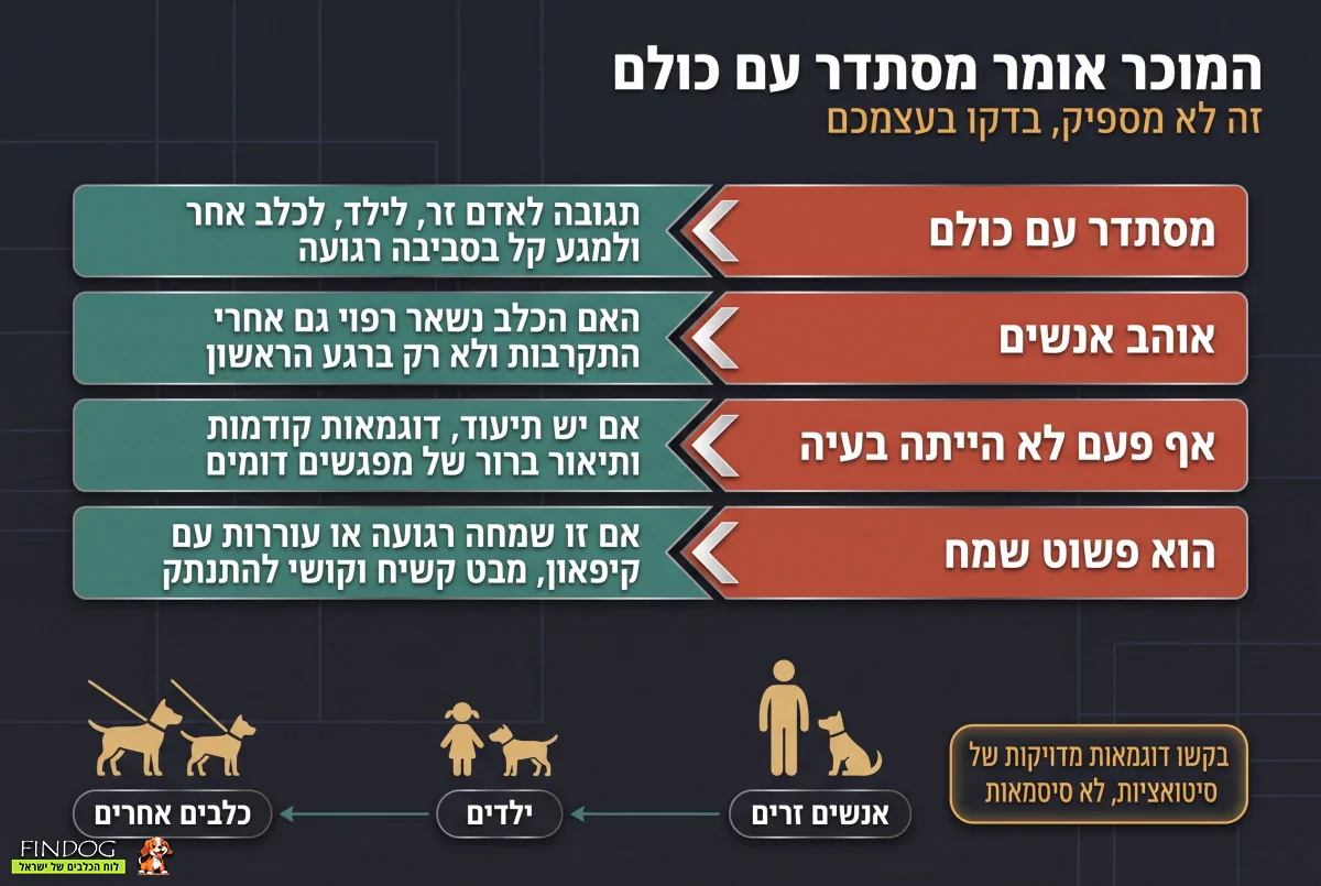 כשהמוכר אומר שהכלב מסתדר עם כולם