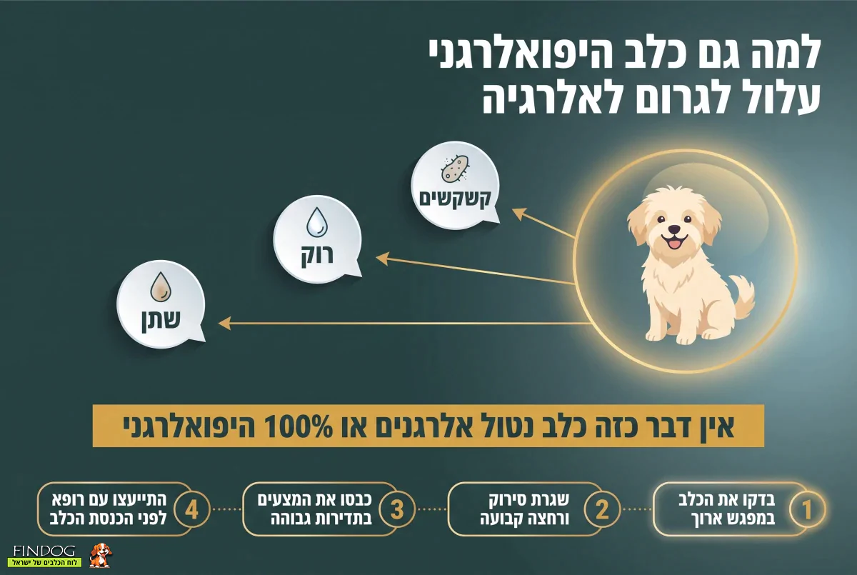 גזעי כלבים קטנים שלא מנשירים - יתרונות וחיסרונות