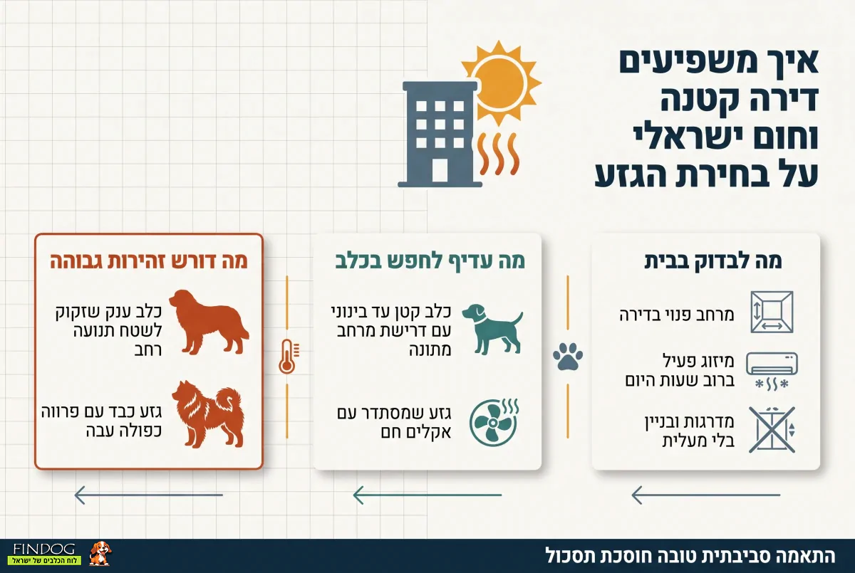 איך משפיעים דירה קטנה וחום ישראלי על בחירת הגזע