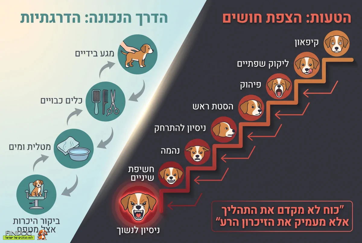 הטעויות והדרכים הנכונות להרגיל גור לטיפוח