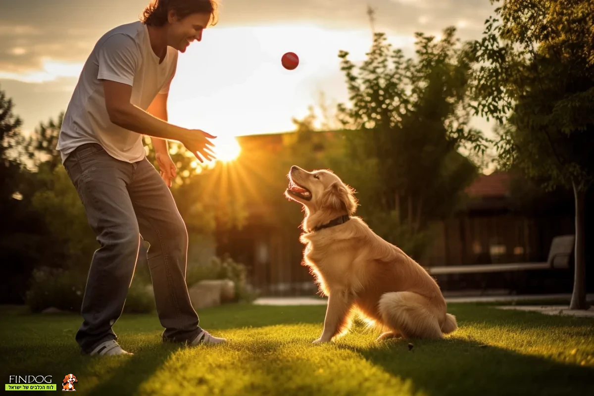 גבר משחק עם הכלב שלו בכדור