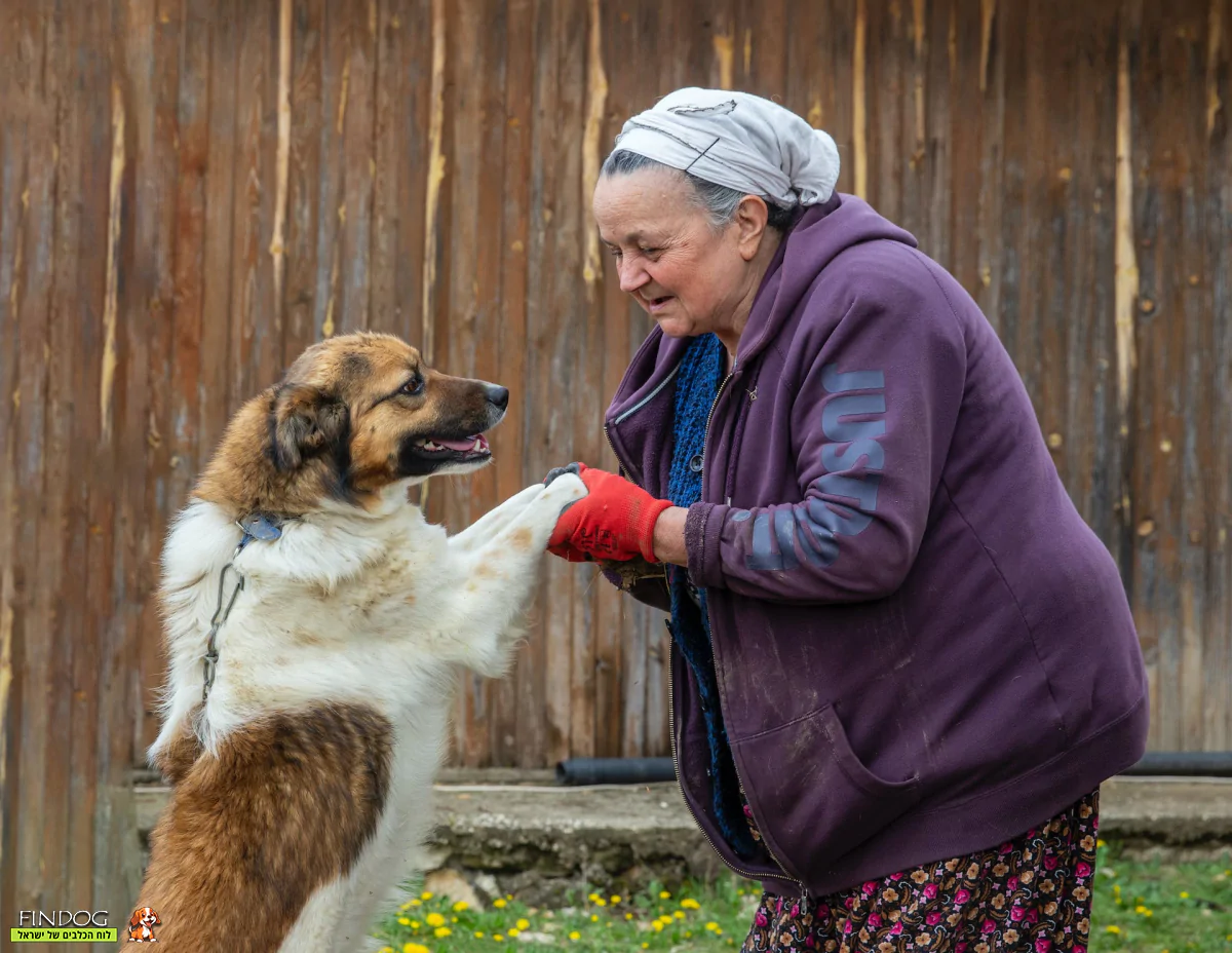 אישה מבוגרת עם כלב
