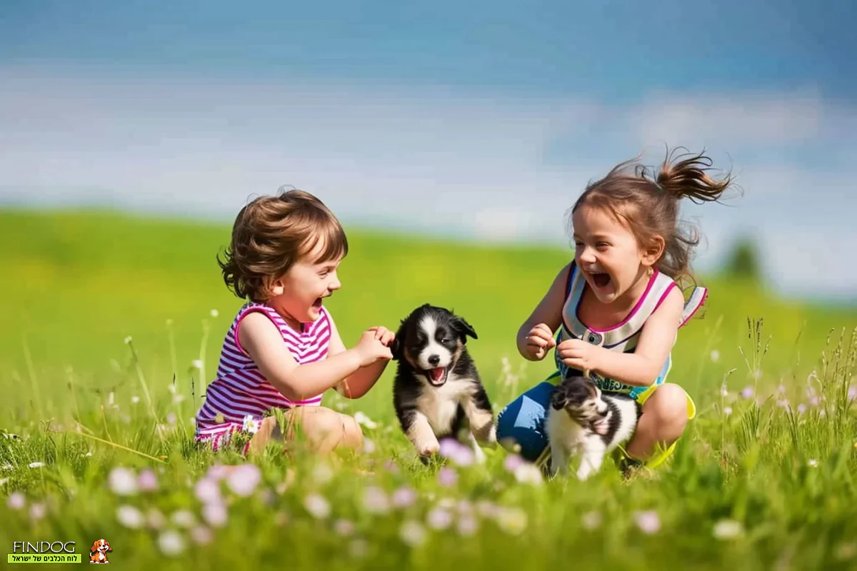 2 ילדות משחקות עם כלב קטן
